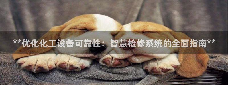 新城平台登录入口官网下载app