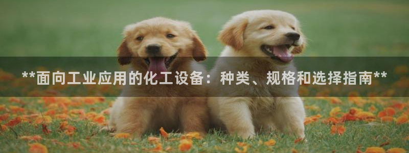 新城平台登录密码忘了怎么找回