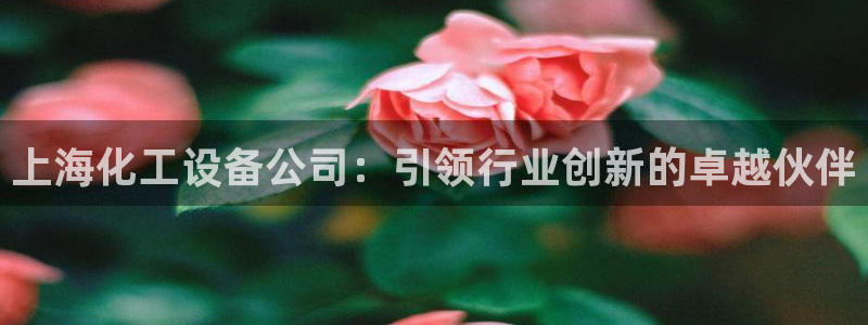 新城平台登录入口官网