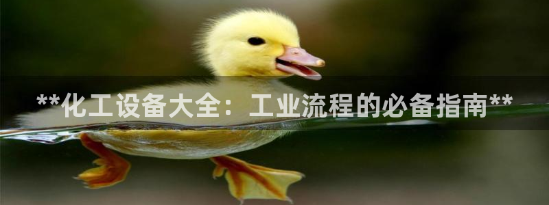新城平台注册公司流程图