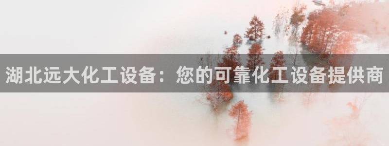 新城平台官网注册入口