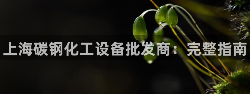 新城平台属于哪个系列