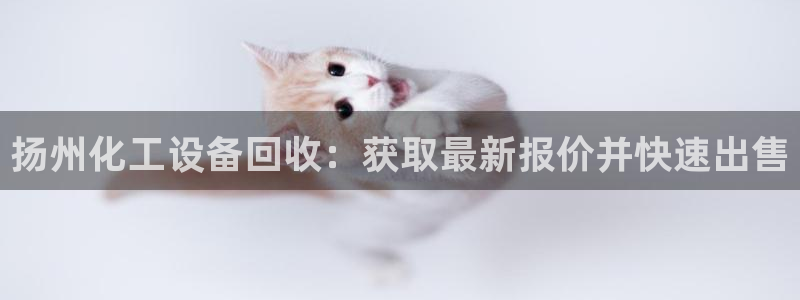 新城平台将7O777