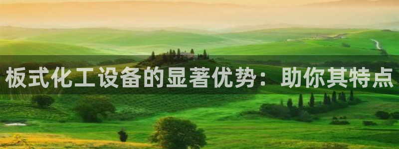新城平台公司