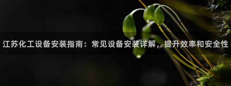 新城平台登录入口官网查询信息