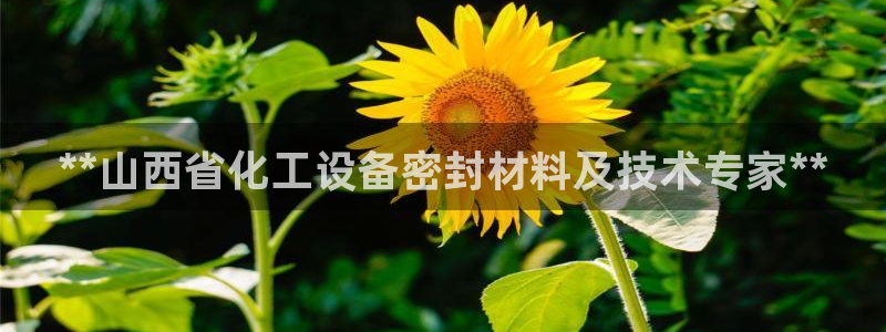 新城平台记7O777