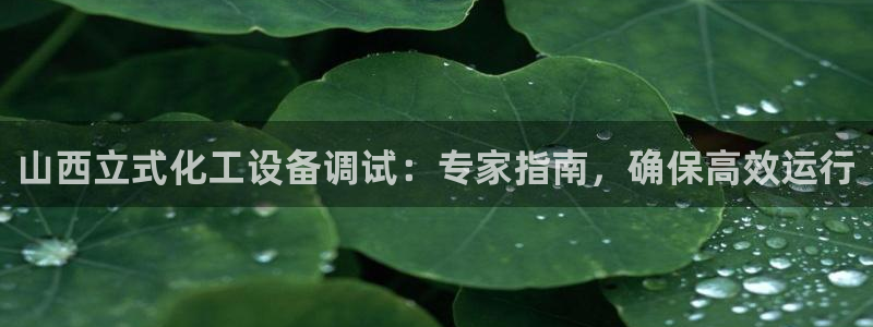 新城平台官网注册流程