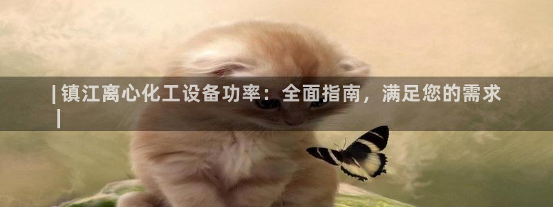 新城平台注册登录地址是什么