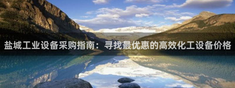 新城平台是干嘛的公司有哪些