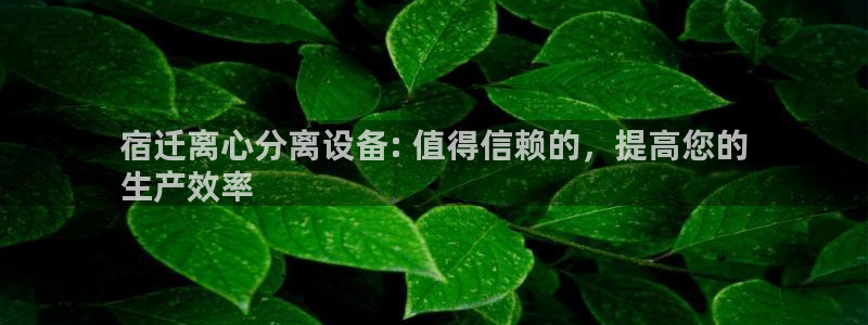 新城平台官网首页登录