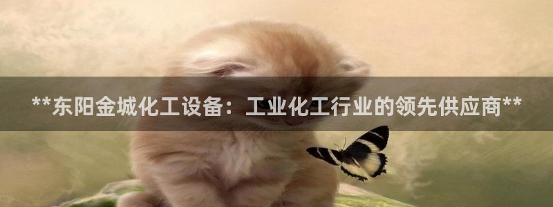 新城平台注册登录地址是什么