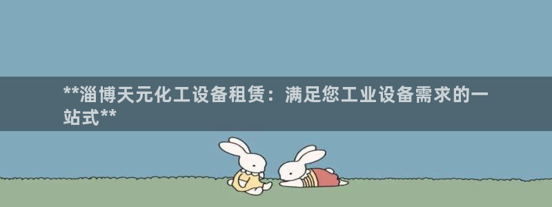 新城平台登录入口官网网址是多少：**淄博天元化工设
