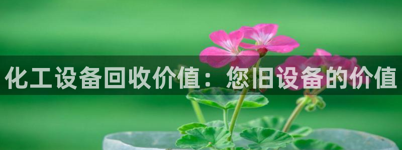 新城平台官网注册流程