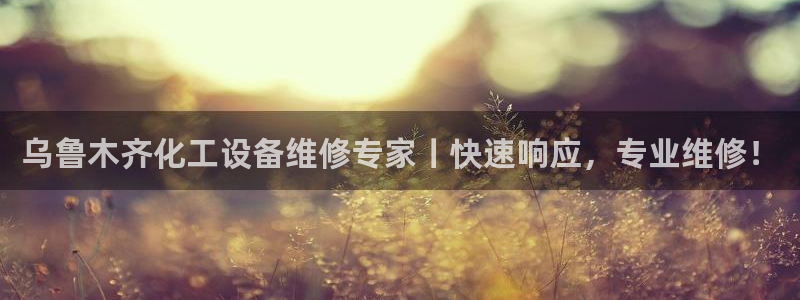 新城平台线路登录不上去怎么回事：乌鲁木齐化工设备维