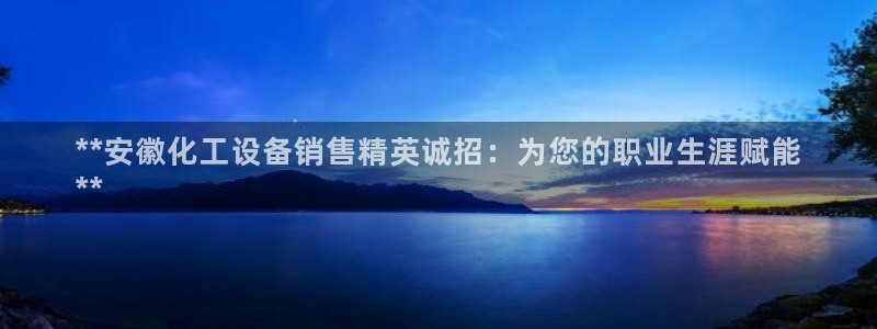 新城平台价7O777：**安徽化工设备销售精英诚招