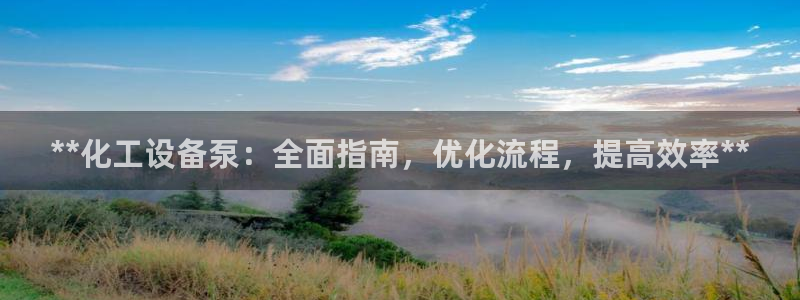 新城平台总代