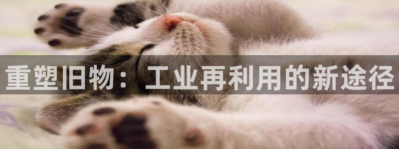 新城平台将7O777