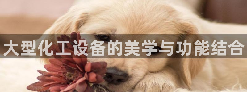 新城平台日7O777