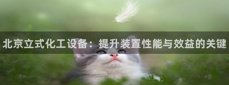 新城平台授权注册