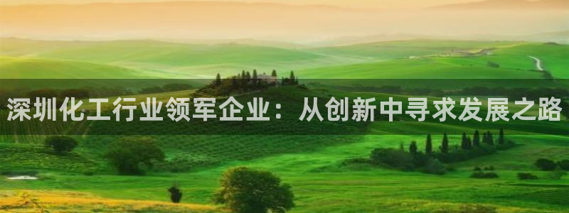 新城平台登录入口官网网址是多少