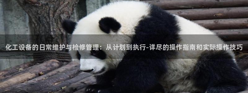 新城平台负责人名单