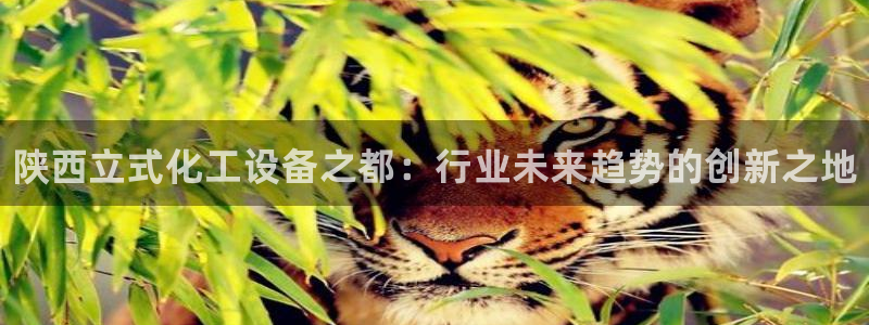 新城平台致7O777