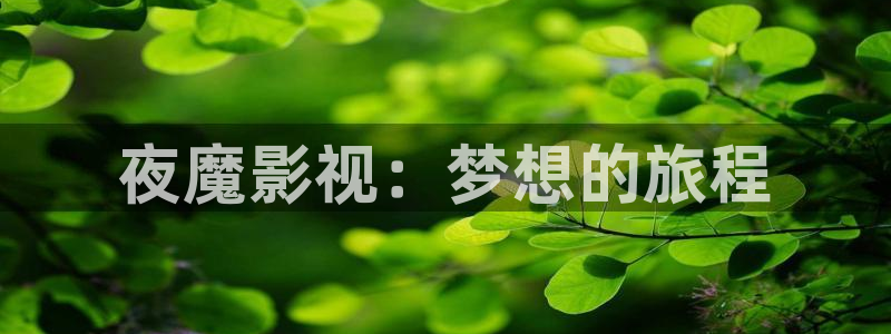 驰策驰影院 电视剧：夜魔影视：梦想的旅程