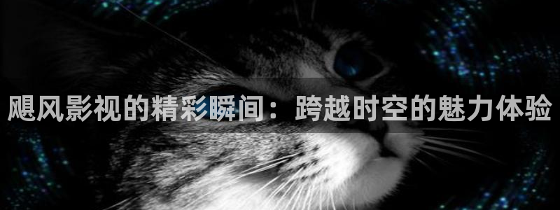 驰策电影网：飓风影视的精彩瞬间：跨越时空的魅力体验