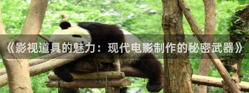 驰策影院2025：《影视道具的魅力：现代电影制作的秘密武器》