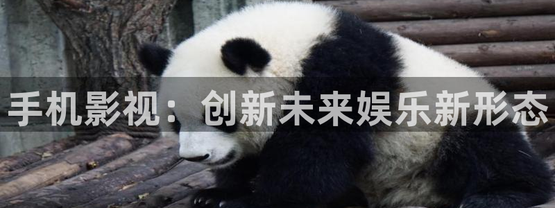 驰策驰影院 免费观看：手机影视：创新未来娱乐新形态