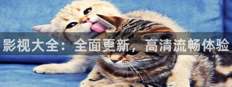驰策影院在线观看我不是药神