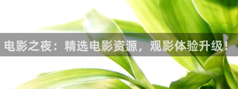 驰策驰影院理论：电影之夜：精选电影资源，观影体验升级！