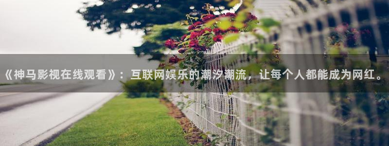 驰策影院：《神马影视在线观看》：互联网娱乐的潮汐潮流，让每个人都能成为网红。