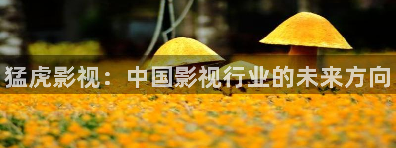 驰策影院在线观看我不是药神