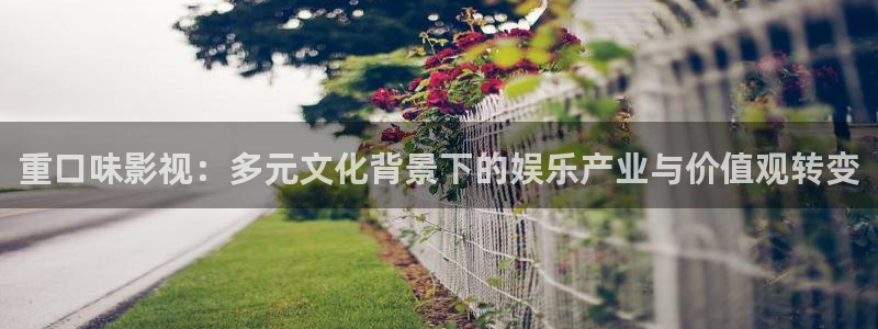 驰策电影网：重口味影视：多元文化背景下的娱乐产业与价值观转变
